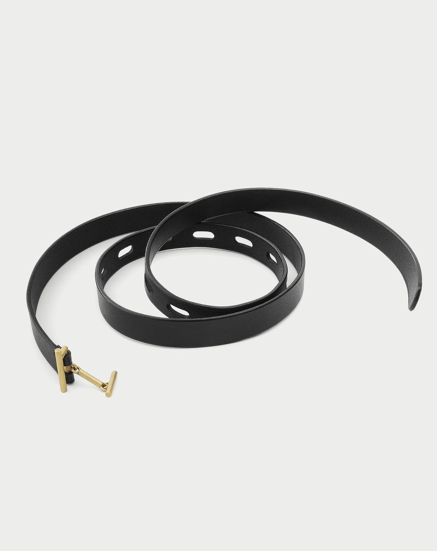 CLIP BELT